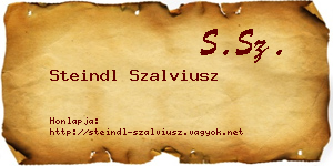 Steindl Szalviusz névjegykártya